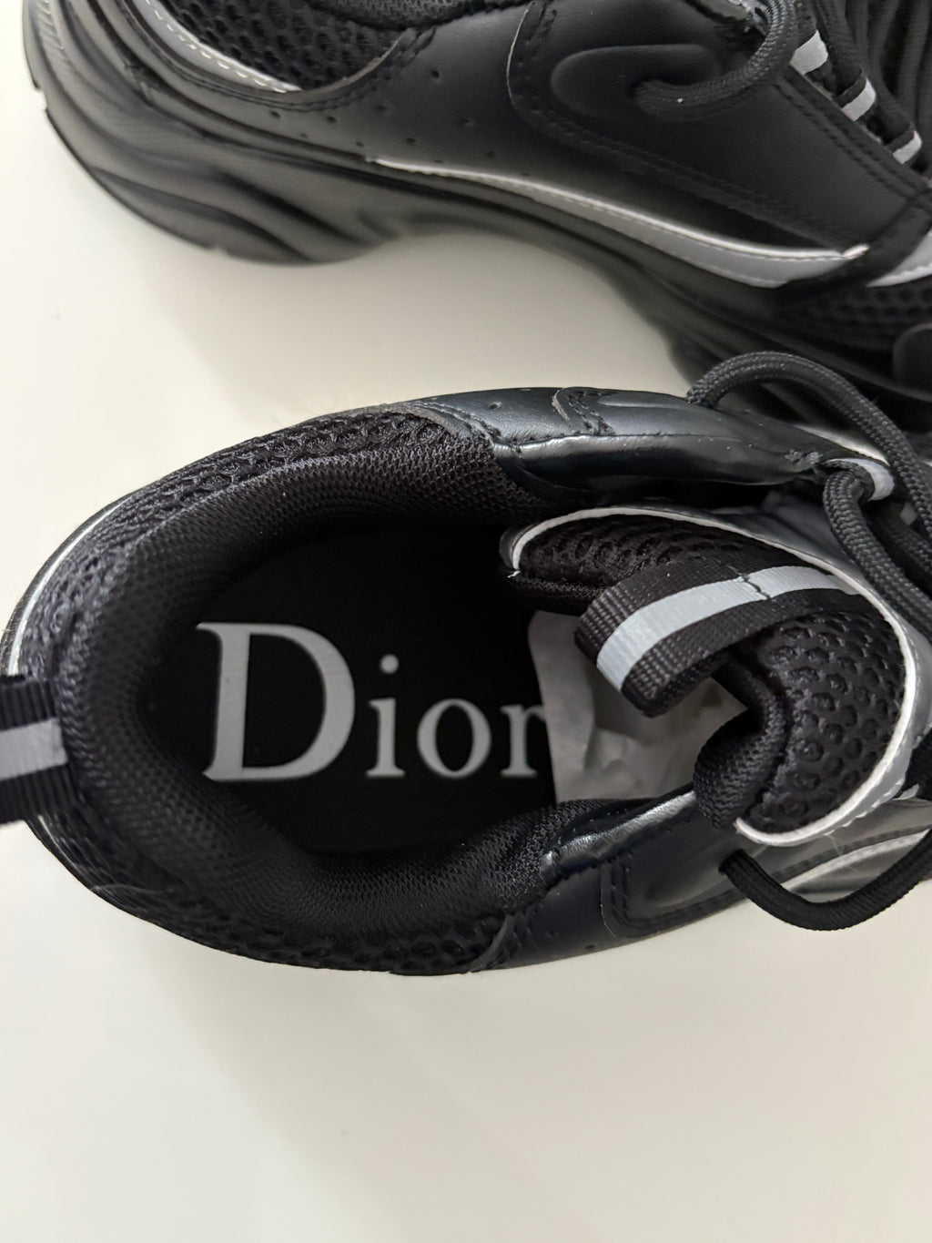 DIOR B22