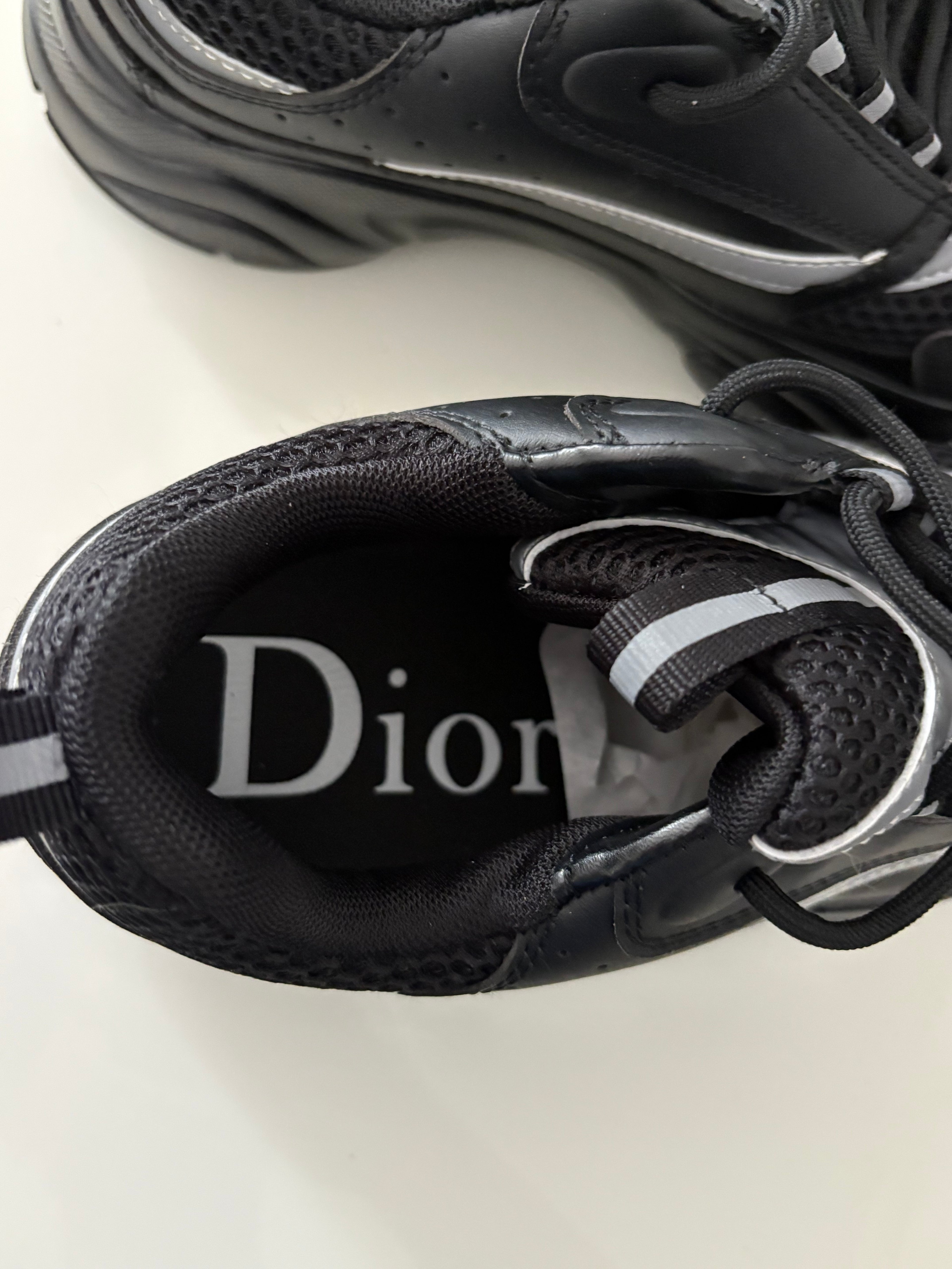 DIOR B22